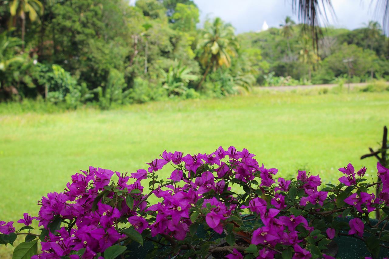 Paddy Field View Resort Mirissa Exterior foto