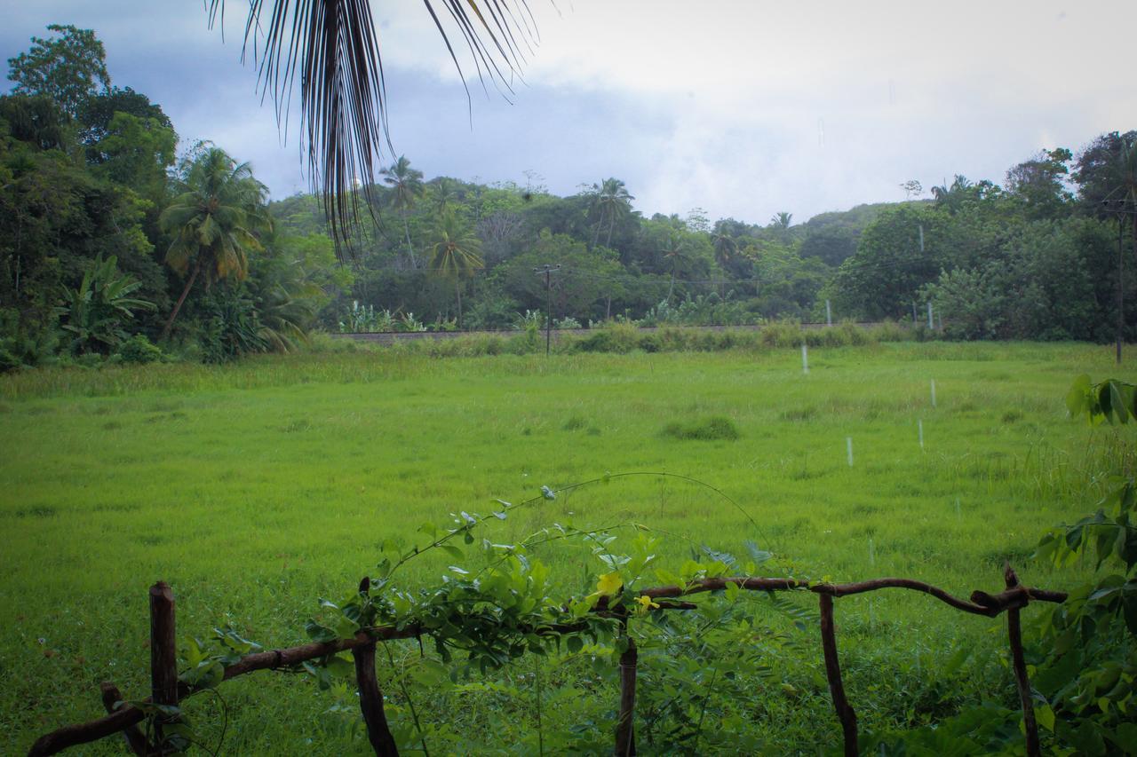 Paddy Field View Resort Mirissa Exterior foto