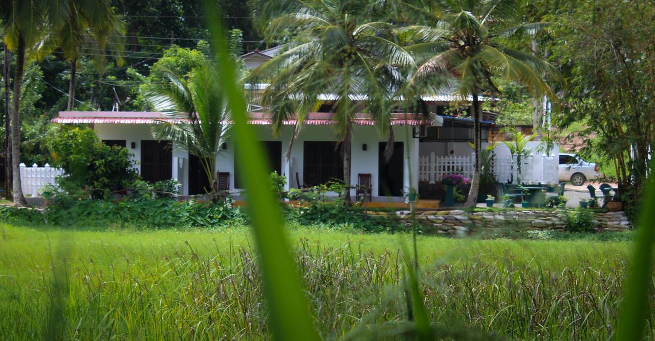 Paddy Field View Resort Mirissa Exterior foto