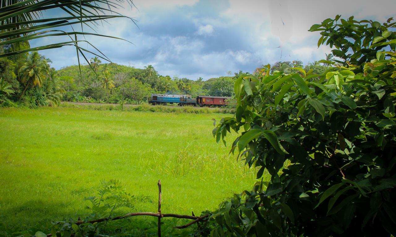 Paddy Field View Resort Mirissa Exterior foto