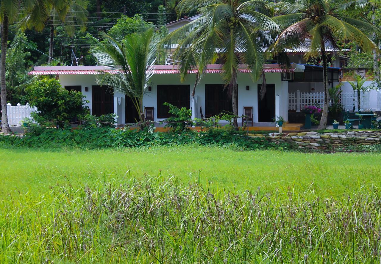 Paddy Field View Resort Mirissa Exterior foto