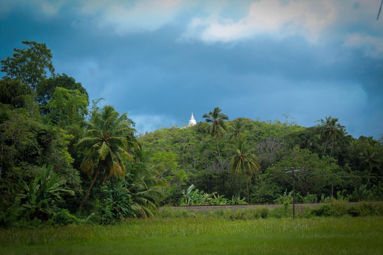 Paddy Field View Resort Mirissa Exterior foto