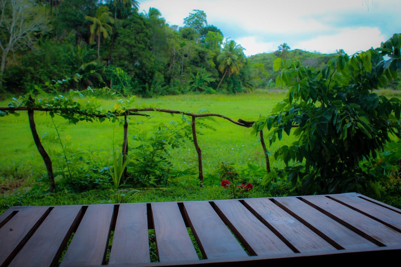 Paddy Field View Resort Mirissa Exterior foto