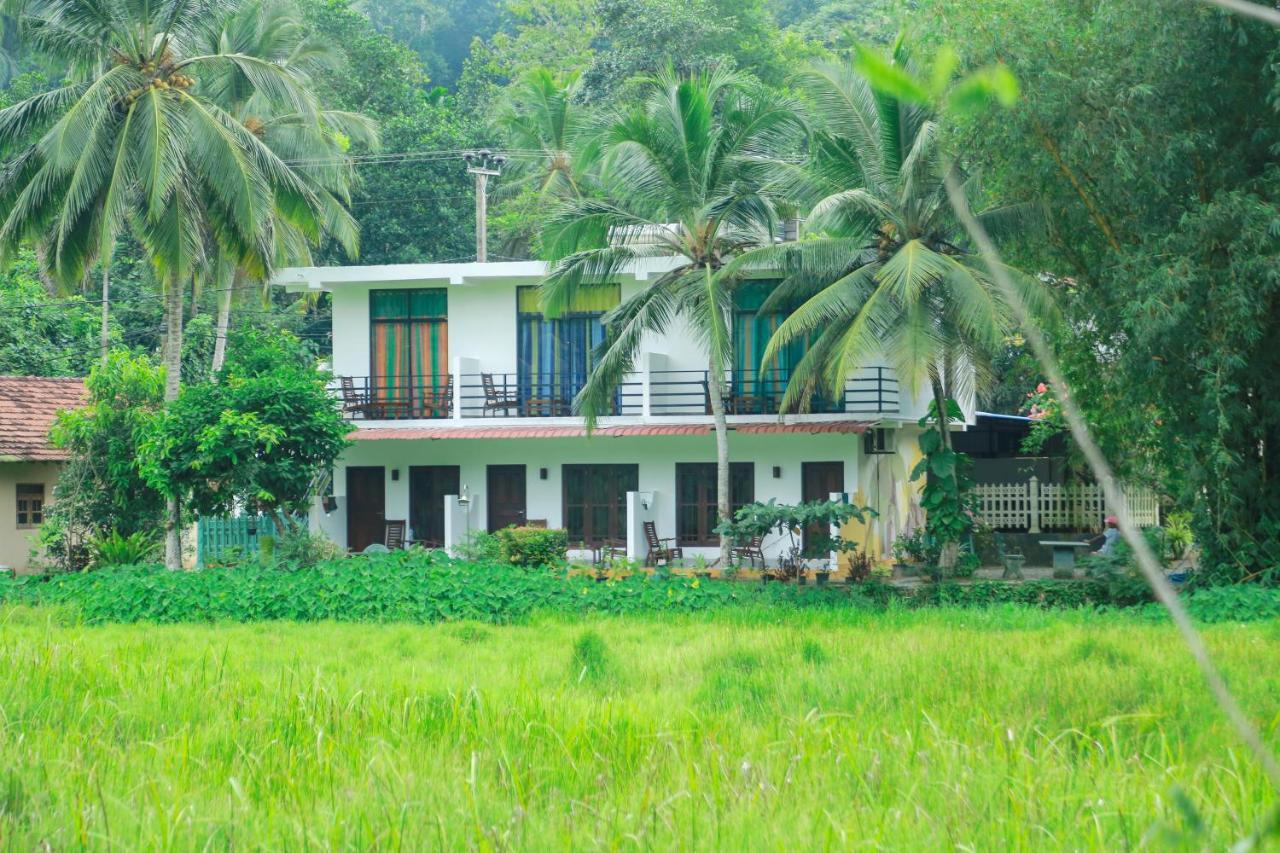 Paddy Field View Resort Mirissa Exterior foto